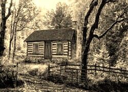 Szary + Sepia