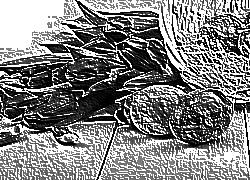 Skamielina