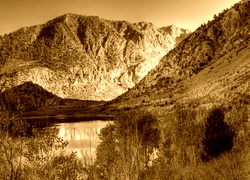 Sepia