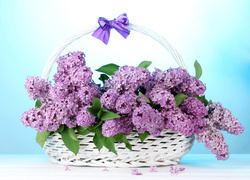 Oryginalny obrazek