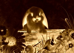 Sepia + Negatyw