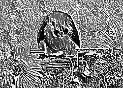Skamielina