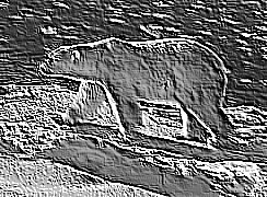 Skamielina