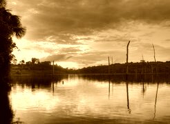 Sepia