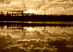 Sepia