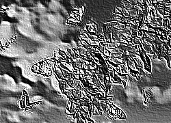 Skamielina