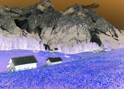 Negatyw