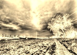 Sepia + Negatyw