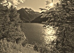 Szary + Sepia