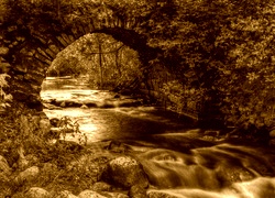 Sepia
