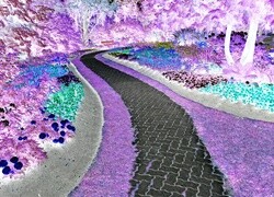 Negatyw