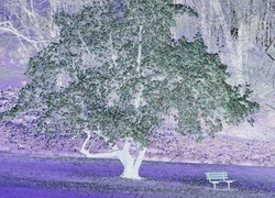 Negatyw