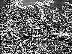 Skamielina