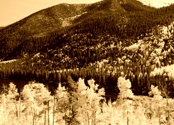 Sepia