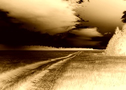 Sepia + Negatyw