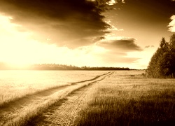 Sepia
