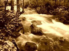Sepia