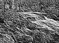 Skamielina