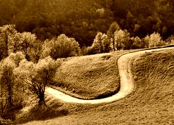 Sepia