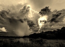 Sepia
