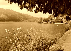 Sepia