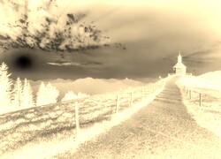 Sepia + Negatyw
