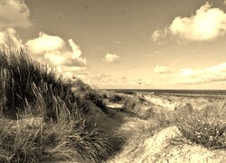 Szary + Sepia