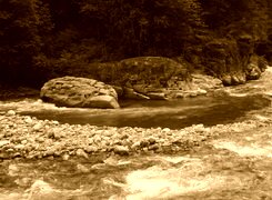 Sepia