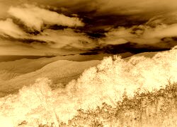 Sepia + Negatyw