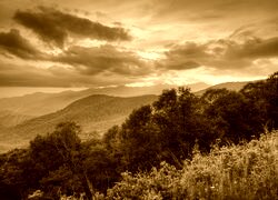 Sepia
