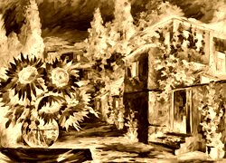 Sepia + Negatyw