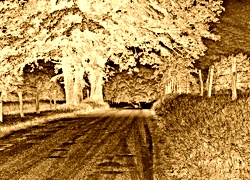 Sepia + Negatyw