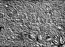 Skamielina