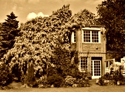 Sepia