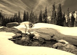 Szary + Sepia