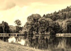 Szary + Sepia