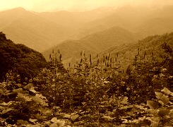Sepia