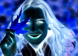 Negatyw