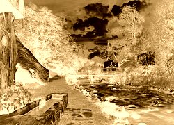 Sepia + Negatyw