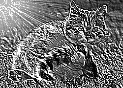 Skamielina