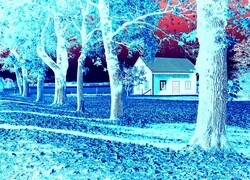Negatyw