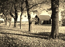 Szary + Sepia