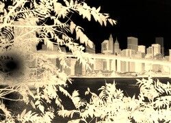 Sepia + Negatyw