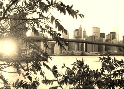 Szary + Sepia