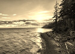 Szary + Sepia