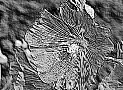 Skamielina
