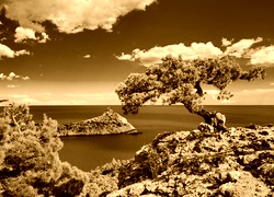 Sepia