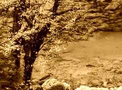 Sepia