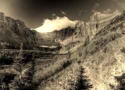Szary + Sepia