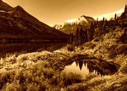 Sepia